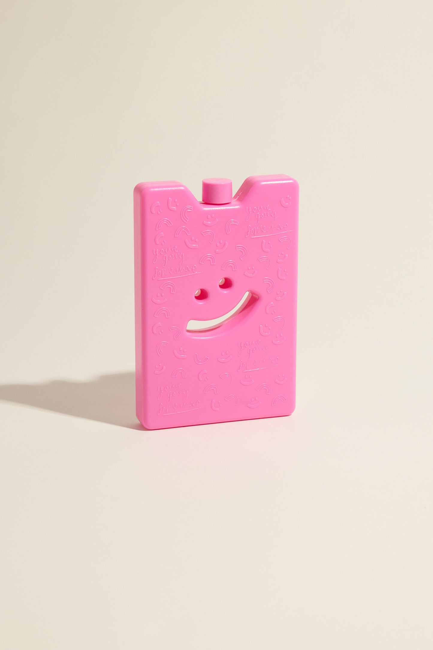 The Somewhere Co Ice Brick