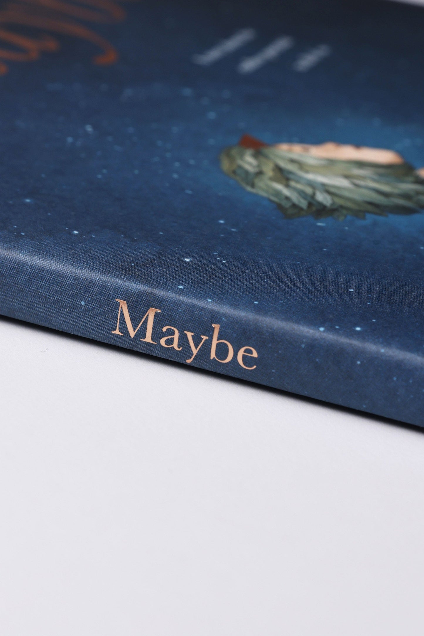 Maybe Book