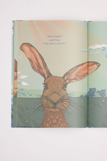What Colour is the Sky Book