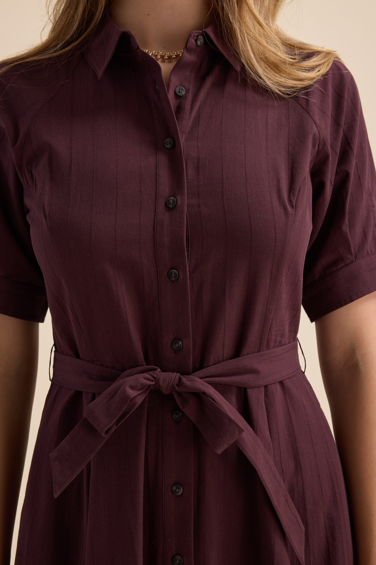 The Everyday Shirt Dress