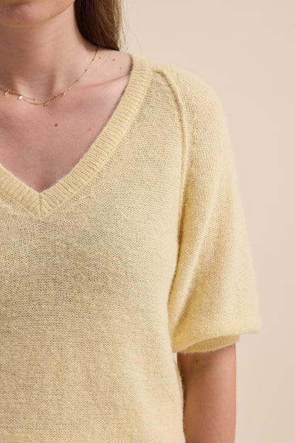 Ivy Knitted V Neck Tee
