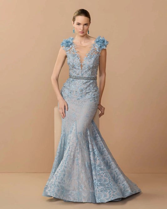 Embroidered Illusion Appliqued Bodice Trumpet Gown