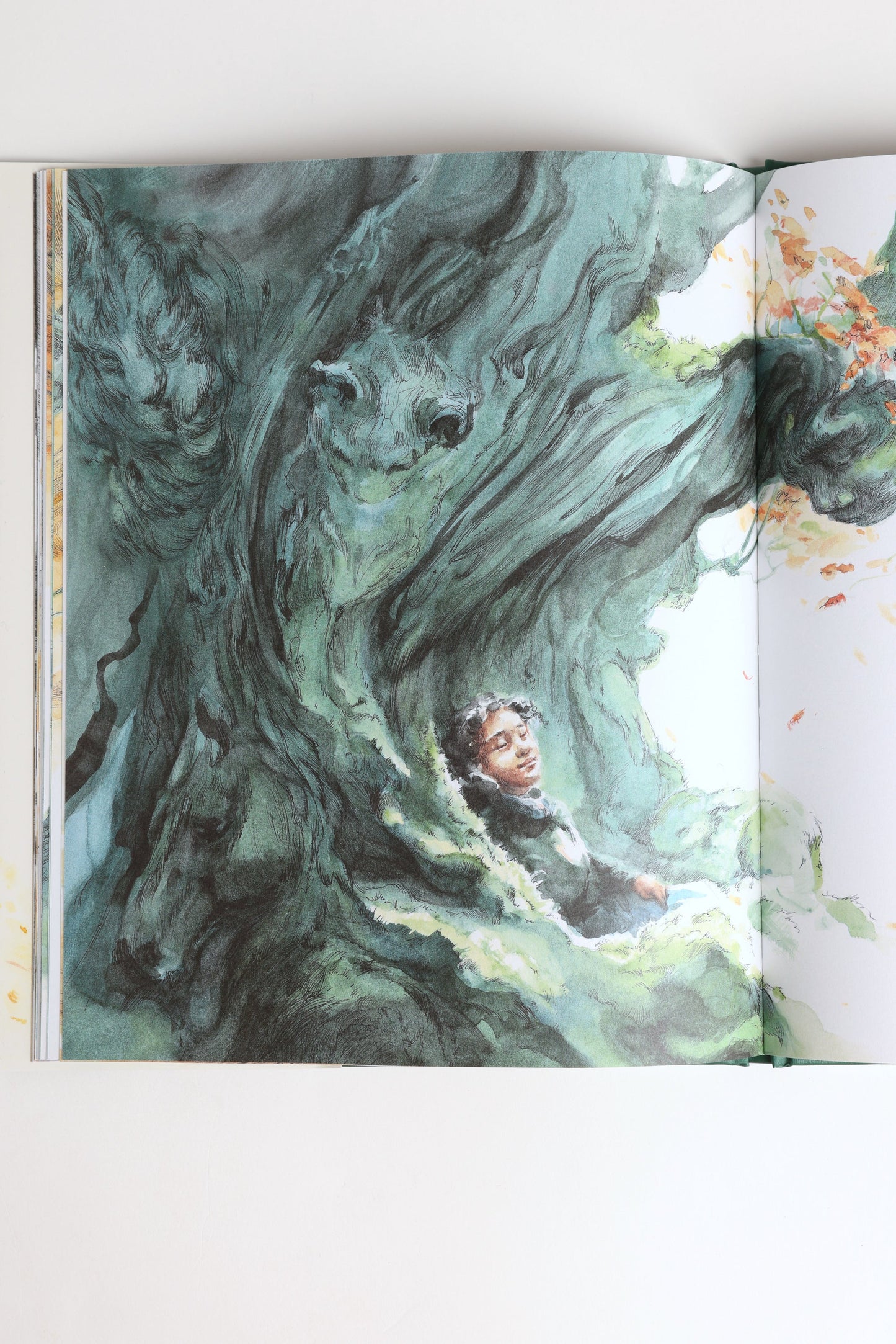 Noticing Book