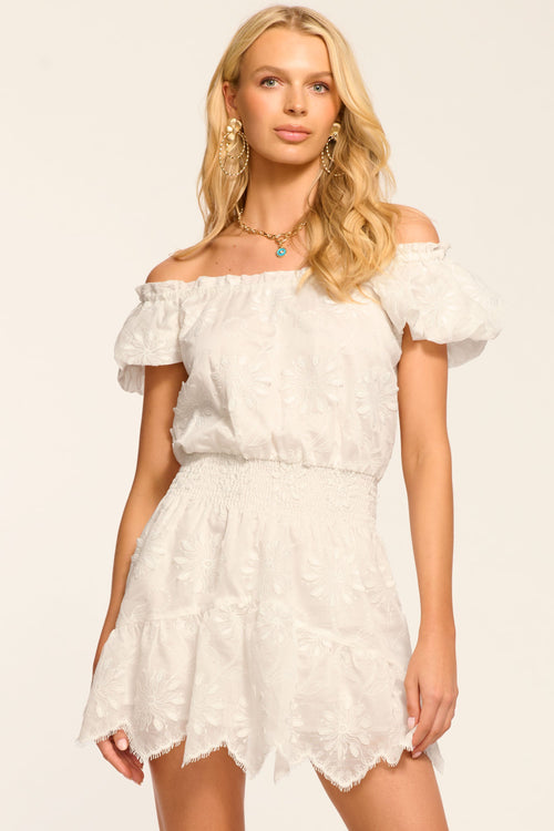 Verona Embroidered Organza Mini Dress